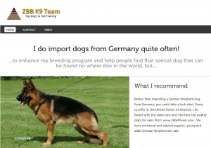 A german shepherd dog is sitting in the grass.