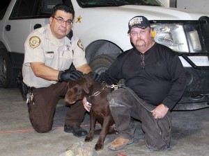 Police officers with dog in front of vehicle.