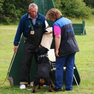 Dog training with two people in field.