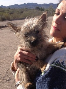 Woman holding a small, fluffy dog outside.