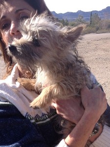 Woman holding a small, fluffy dog outside.