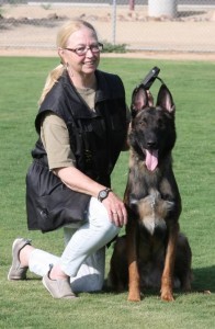 Belgium Malinois advanced obedience