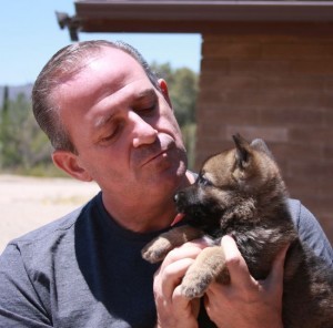 Zauberberg German Shepherd in Virgin Isands