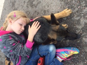Trained germann Shepherd Puppy sold in Tucson