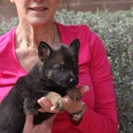 A woman holding a puppy in her arms.