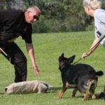 Dogs that protect