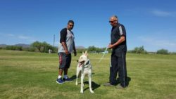 Two men and a dog in the grass.