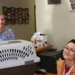 Two women sitting at a desk with their pet carrier.