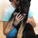 A girl holding her dog in the arms of another person.