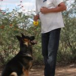 A man and his dog are playing with a frisbee.