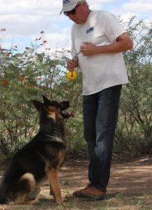A man and his dog are playing with a frisbee.