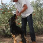 A man and his dog playing with each other.