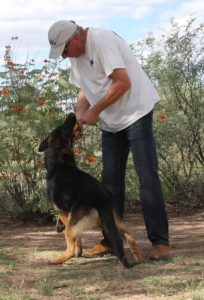 A man and his dog playing with each other.
