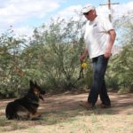 A man and his dog are walking in the desert.