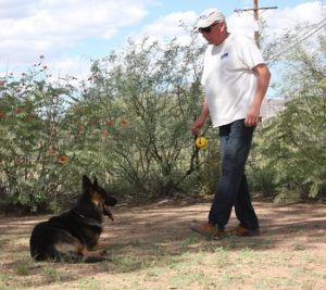 A man and his dog are walking in the desert.