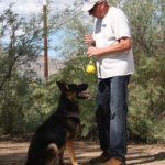 A man and his dog are playing with a ball.