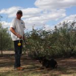 A man and his dog are in the field.