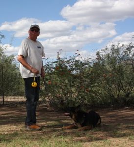 A man and his dog are in the field.