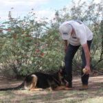 A person and a dog are in the dirt.