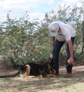 A person and a dog are in the dirt.