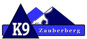 A blue and white logo with the number 9.