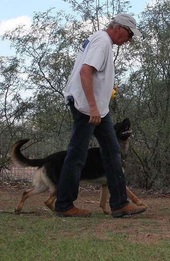 A man walking his dog on a leash.