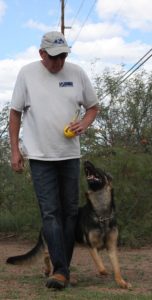 A man and his dog are holding bananas.