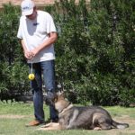 A man and his dog are playing with a ball.