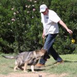 A man and his dog are playing frisbee.