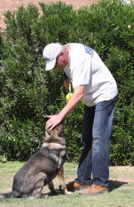 A man and his dog playing tug of war with an apple.