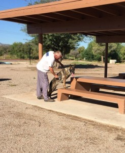 Man with dog under a picnic shelter.