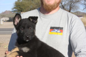 A man holding a puppy in his arms.