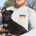 A man holding a puppy in his arms.