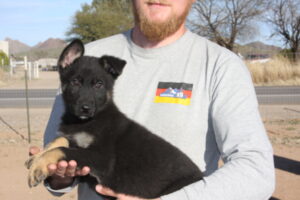 A man holding a puppy in his arms.