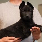 A person holding a black puppy in his arms.