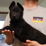 A man holding a black dog in his arms.