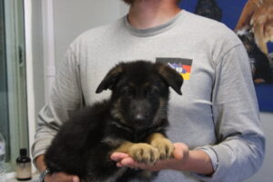 A man holding a puppy in his hands.